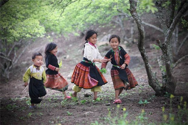 Sapa Challenge
