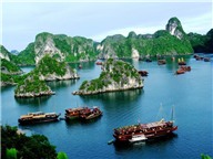 Taste of Vietnam