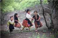 Sapa Challenge